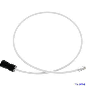 PANDUIT XvCXRlN^R[h RJ45W[vOt Cat5E Cat6 Cat6Ap 1m FC|ICCY1MWH FCICCY1MWH(4237999)×10[ʓrς][@l][fO]