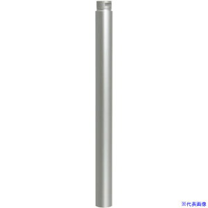 Dino]Lite Dino-LiteX^hRK06p|[ DINORK06PL(4358545)[ʓrς][@lEƏ][fO]