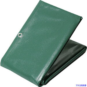  ^[s[ GXezgbNV[g W|4 O[ 2.6m×3.8m EHW4(4375562)