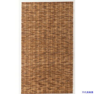 ^ix VR ӂ闢  uE FB8811(4407407)