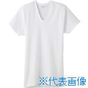 ��GUNZE ���K�H�[ ����U�� KQ5016LL(4559026)