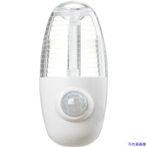 YAZAWA LEDZT[iCgCg NASMN01WH(4575835)[ʓrς][@lEƏ][fO]