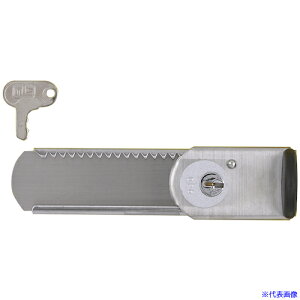 ��NLS �͂���[�ʌ��t(���R�^�p�b�N) DSH15(4669365)