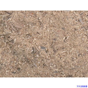 O[NX 100L 6300033118(4677138)[ʓrς][@l]