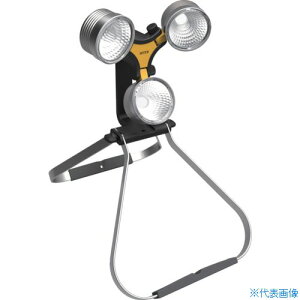 ��RITEX LED×3�� �X�[�p�[���[�N���C�g WT1000(4691563)