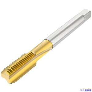 ���Z�R �y�󒍐��Y�i�E�ԕi�s�z �˂��؂�H�� T32SN02C0514X1.2563R(4889514)[�����ʓr�����ς�][�@�l����][�f�O���]