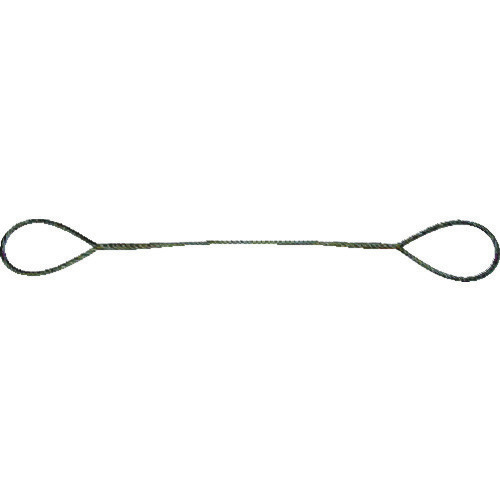 楽天市場】玉掛けワイヤーロープ 20mの通販