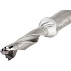 ���C�X�J�� �X���E�J�� �w�b�h�������h�����{�f�B(�~���V�����N)5D DCN13506816R5D(5167540)[�����ʓr�����ς�][�@�l����][�f�O���]