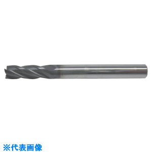 ���C�X�J�� ���d�\���b�h�G���h�~�� EC�|B�|3 IC900 EC020B073C03(IC900)(5171458)[�����ʓr�����ς�][�@�l����][�f�O���]