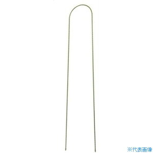 ` A[`x 150cm V057(5207945)[ʓrς][@l]