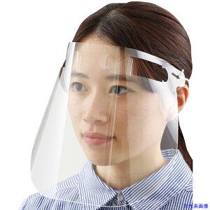 ��ArTeC �N���A�V�[�g�E�t�F�C�X�V�[���h(10���g)(51578) 51578(5224312)[�����ʓr�����ς�][�@�l����][�O����]