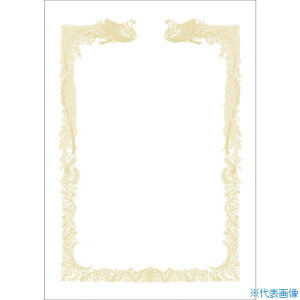 TTK ܏p OA܏p _Ȃ B4p 101471(5245657)