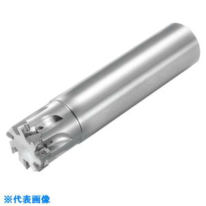 �����Z�� MECX�G���h�~�� �W���V�����N MECX17S16073T(5503663)[�����ʓr�����ς�][�@�l����][�f�O���]