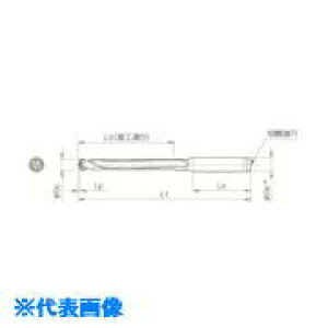 �����Z�� �}�W�b�N�h�����p�z���_ SS�|DRC ���H�[��8×DC SS25DRC210M8(5530911)[�����ʓr�����ς�][�@�l����][�f�O���]