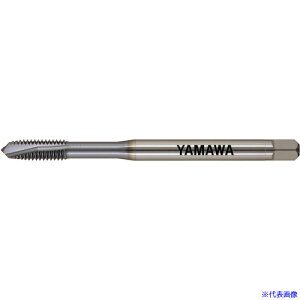 } Z-PRO R[eBO|Cg^bv VUPO L100 P3 M6X1 VUPO100P3M6X1(5568014)