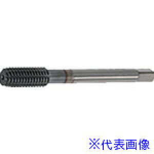 ���c��䐻�쏊 �_�u���^�t���b�g M12X1 P9 47047 WTFM12X1P9(5599925)