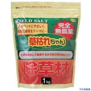 NTX  ͂ꂿ 1kg LXGT877364(5619499)[ʓrς][@lEƏ][O]