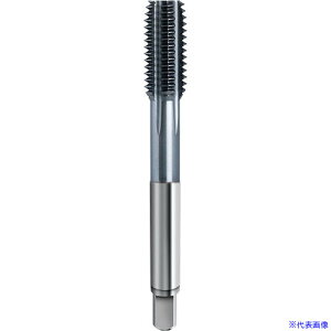 ��GUHRING �t���[�g���X�^�b�v ���\���p Pionex ���a�t�� M12 x 1 458512.056(5824743)[�����ʓr�����ς�][�@�l����][�f�O���]