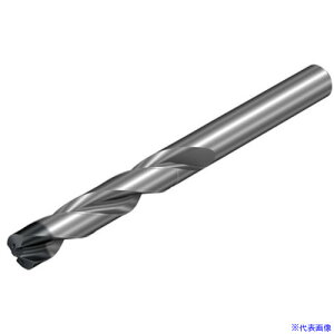 ��SANDVIK �R���h����860�]SD ���d�\���b�h�h����(720) S2BM 860.11200098A1SD(S2BM)(6345227)[�����ʓr�����ς�][�@�l����][�f�O���]