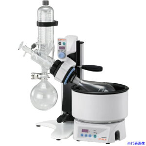  [^[Go|[^[ N|1300E|WB 266530(6523259)[ʓrς][@l][]