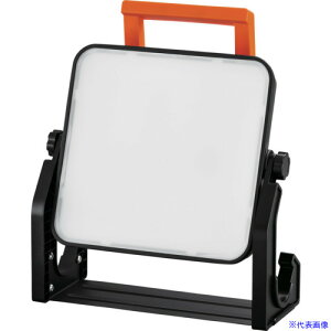 IRIS 107195 PROLEDS LEDu^ AC 5000lm LWT5000BAH2(6593866)