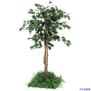 ��NAIKI �X�N�G�A�O���[��(450�p) LOT�^ ���g�X LOTOS NGR50550404(6597420)[�����ʓr�����ς�][�@�l����][�f�O���]