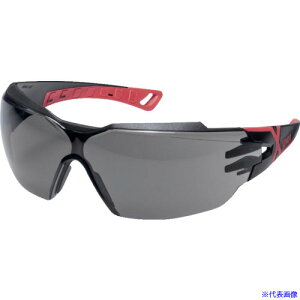 UVEX ԊOՒfی상Kl tBIX CX2 IR[ex3 9198173(6646426)