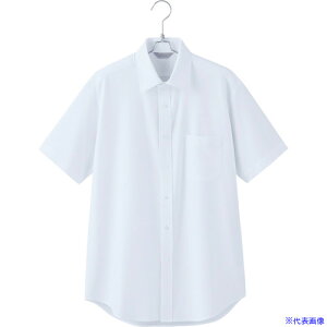 ���s�G �����Y�����V���cAZ634050 �z���C�g L AZ634050001L(6790009)[�����ʓr�����ς�][�@�l����][�f�O���]