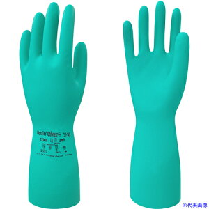 g wh At@ebN\xbNX 37|145 LL 37145LL(6794692)