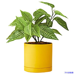 NAIKI lH([uubV) AGF120TRPY(6908983)[ʓrς][@l][fO]