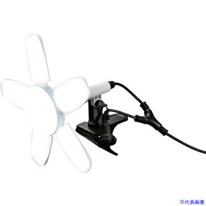 BLACK hJ^LEDNbvCg 瓔 PRO 6500lm OCLT60MG(6949352)[ʓrς][@l][O]