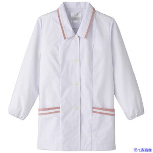 TybNX ypzܕtE zCgsN LL FA668LL(6995706)[ʓrς][@l][fO]