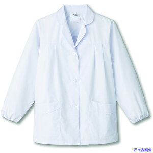 TybNX ypzܕtE zCg S FA325S(7000379)[ʓrς][@l][fO]