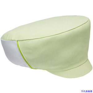 TybNX [NLbv qXq HX H jtH[ CO[ F DP5100H1F(7013074)[ʓrς][@l][fO]