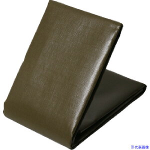 TRUSCO GRODO[V[g #3000 5.4×7.2m ODS5472(7013572)