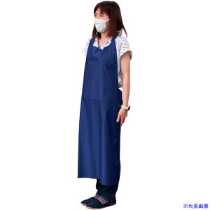 WINCESS q[gJbgGv/yʁAdl10 MTCY AP06M(7015142)[ʓrς][@l][fO]