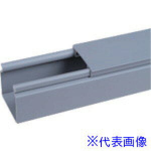 ��PANDUIT �q���W�^�C�v���^�z���_�N�g(PVC�� ���t���[)���C�g�O���[ 6FT(�t�B�[�g) 1�{ HS3X3LG6NM(7313225)[�����ʓr�����ς�][�@�l����][�f�O���]