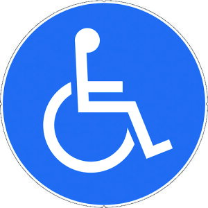 CAR-BOY J[v|[TCLbvv[g ԃCX}[N CP40(7566794)