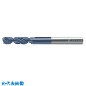 Titex dpCbgh A6181TFT532IN(8022743)[ʓrς][@l][fO]