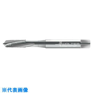 ��Prototyp �}�V���^�b�v 20411M5(8026668)[�����ʓr�����ς�][�@�l����][�f�O���]