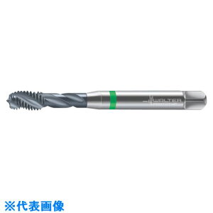 ��Prototyp �}�V���^�b�v 7051770M2(8027232)[�����ʓr�����ς�][�@�l����][�f�O���]