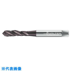 Prototyp }V^bv EP2051302M4(8028071)[ʓrς][@l][fO]