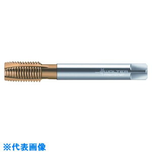 Prototyp }V^bv P21360M4X0.5(8029064)[ʓrς][@l][fO]