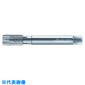 ��Prototyp �}�V���^�b�v P233602UNEF58(8029236)[�����ʓr�����ς�][�@�l����][�f�O���]