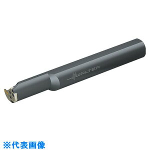 Walter aꃂW[ NCAI404015RGX244(8033858)[ʓrς][@l][fO]