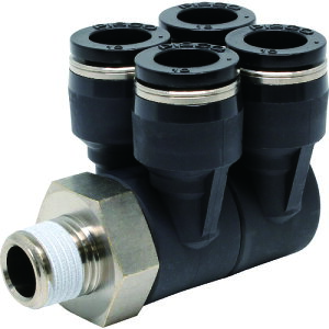 PISCO `[utBbeBO _uu`GC`[u10lW02 PAW1002(8095316)