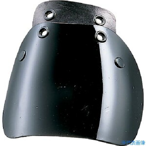 ~hS SCpbveN^[ ^ STCY MKPWS(8111752)