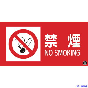 ���Ώ\�� ���h�E�댯���W�� �։��ENOSMOKING ���h-1A 250×500mm �G���r 059101(8148692)