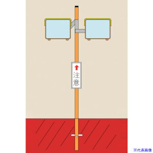 Ώ\ J[u~[(p^2ʋ) pSW46 450×600 p|[t XeX 277070(8151741)[ʓrς][@l][O]