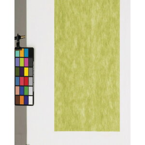 fBJ sDzV[g 100 _[NO[ 90p FUDG90(8167785)[ʓrς][@l][O]